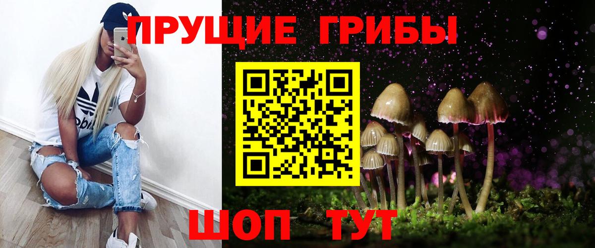 Йошкар-Ола  Псилоцибиновые грибы Psilocybine cubensis  Вход с VPN 